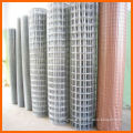 Hebei welded square wire mesh /Galvanized & PVC Coated Welded Wire Mesh